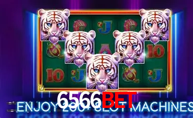 6566Bet